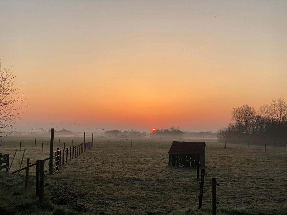 Bed and Breakfast Logies Boszicht Texel De Koog  Exterior foto